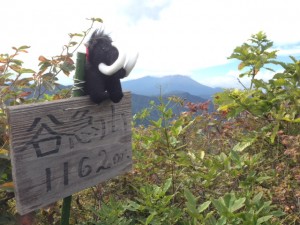 image15