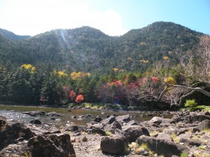 DSCN0106