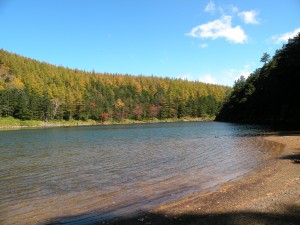 DSCN0113