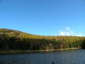 DSCN0119