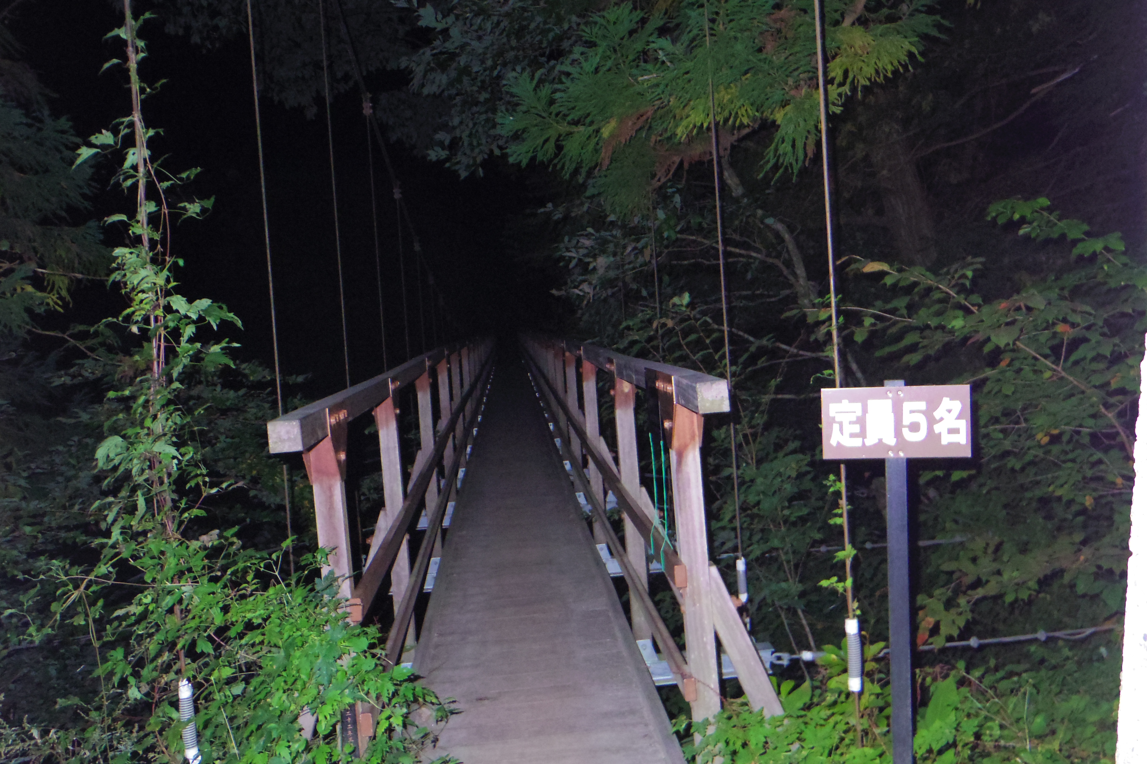 竹宇駒ヶ岳神社裏手の吊橋が登山口になっています