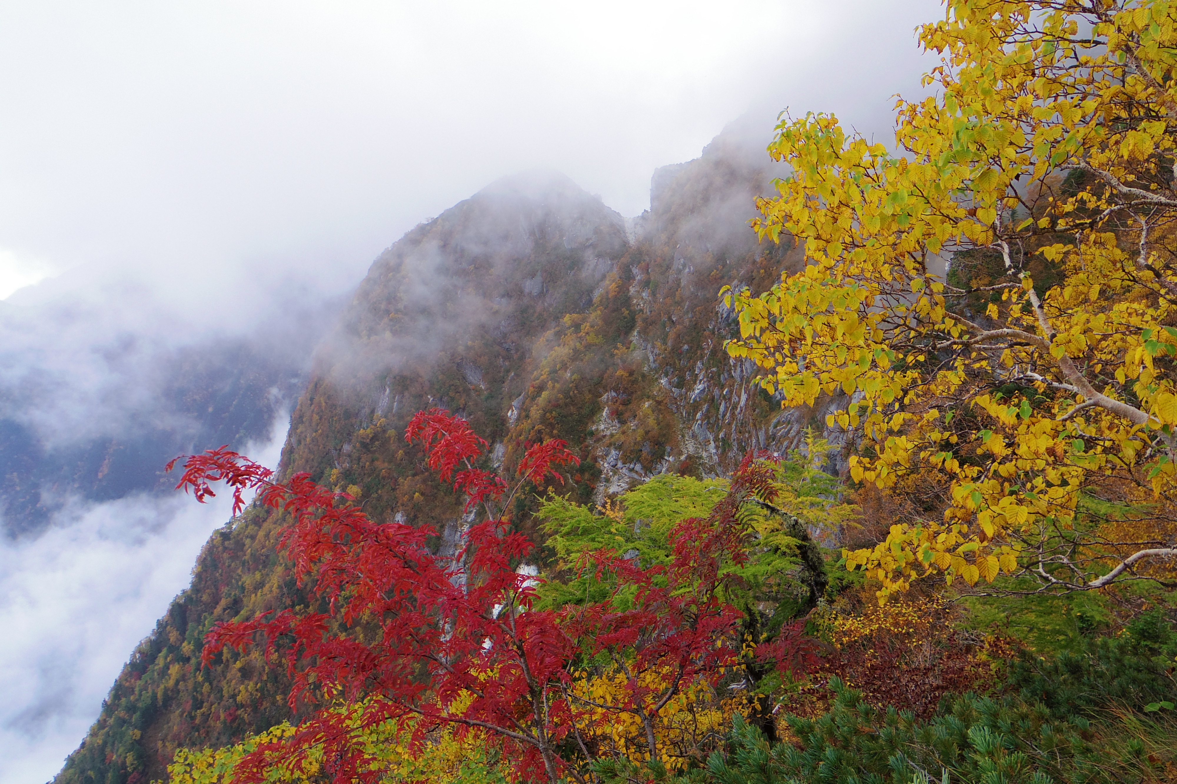 甲斐駒ケ岳は紅葉がピークを迎えています!