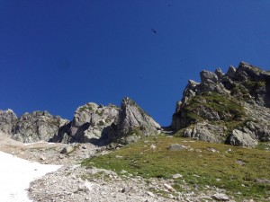 IMG_1085