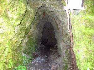 IMG_3528