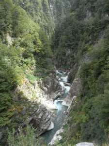 RIMG2778