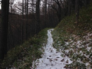 IMG_4916