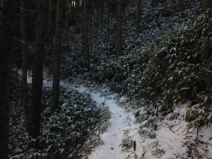 IMG_4918