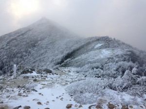 IMG_4926