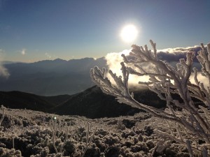 IMG_4939