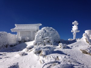 IMG_4955