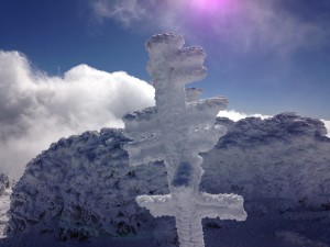IMG_4956
