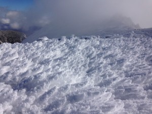 IMG_4965
