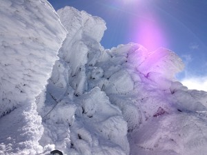 IMG_4975