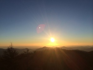 写真 4 (11)