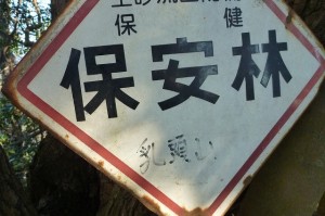 三浦１１