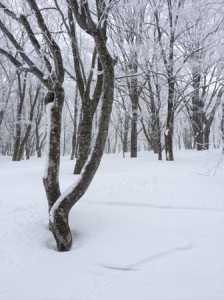 IMG_4015
