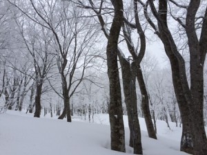 IMG_4020