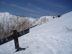 P4250084