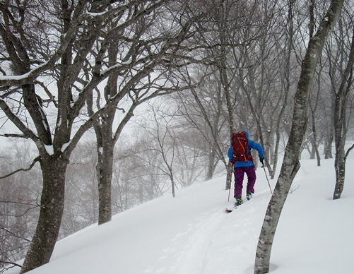 CIMG0936 - コピー