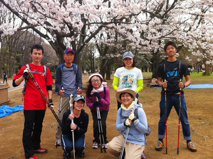 代々木公園は桜が満開でした！