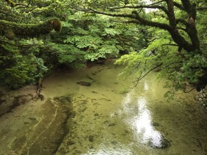 IMG_6084