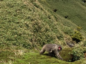 IMG_6208