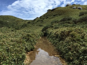 IMG_6223