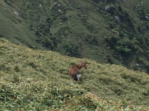 IMG_6232