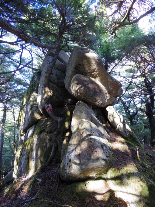 稜線は所どころ巨岩が露出しています。