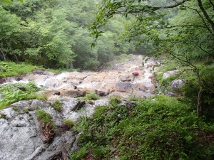 沢登りの季節です！