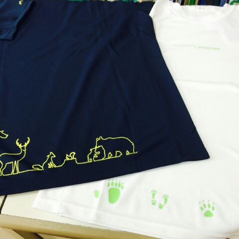 2フェニックス　new募金