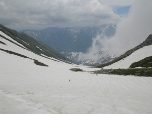 IMGP7950