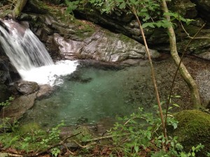 IMG_5030
