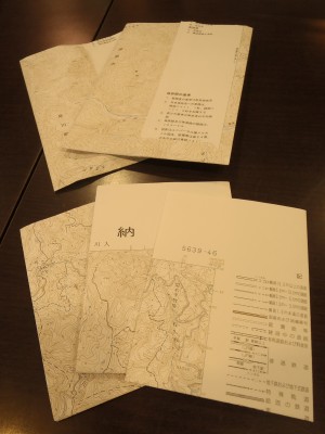 P6010101