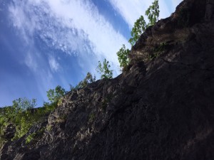 image1_1