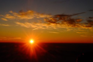 DSCF0981