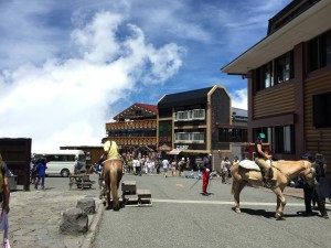 IMG_7645