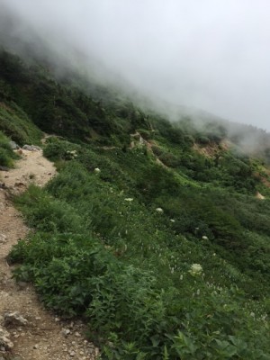 白山７