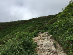 白山８ (1)