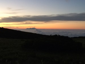 IMG_0741