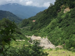 IMG_0768
