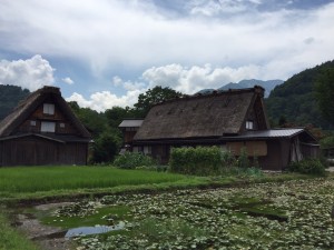 IMG_0773