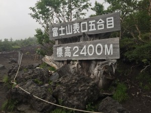 IMG_1037