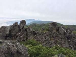 IMG_5211