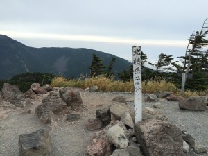 IMG_5221