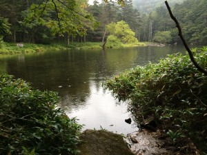 IMG_5242