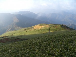 CIMG6763