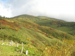 CIMG6768