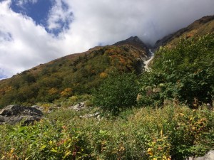 IMG_5611