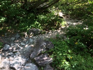 IMG_5621